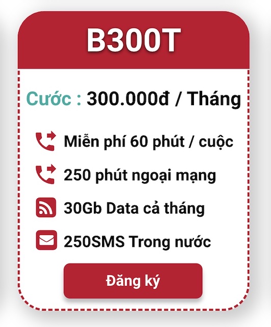 B300T