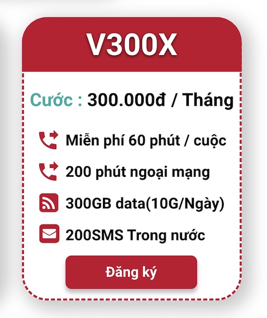 V300X